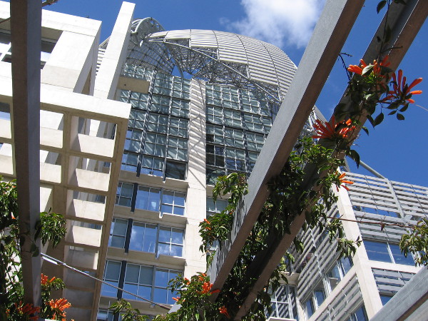 Looking up at the fantastic dome of downtown's Central Library.