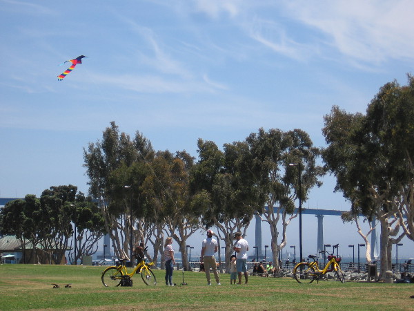 A spring day in San Diego that feels a whole lot like summer.