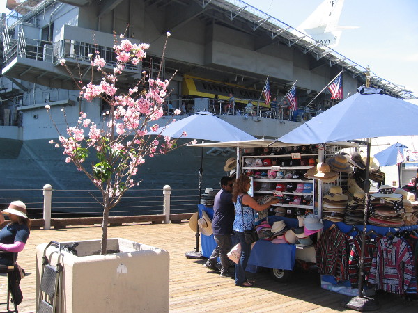 Beautiful spring blossoms by the USS Midway.