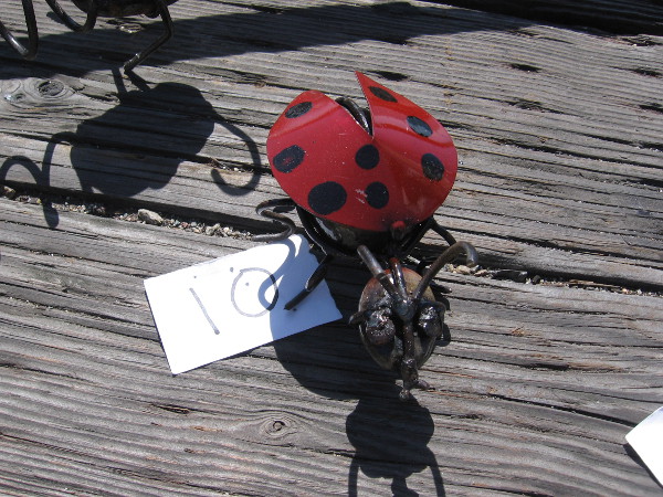 My goodness! A large lady bug has landed nearby!