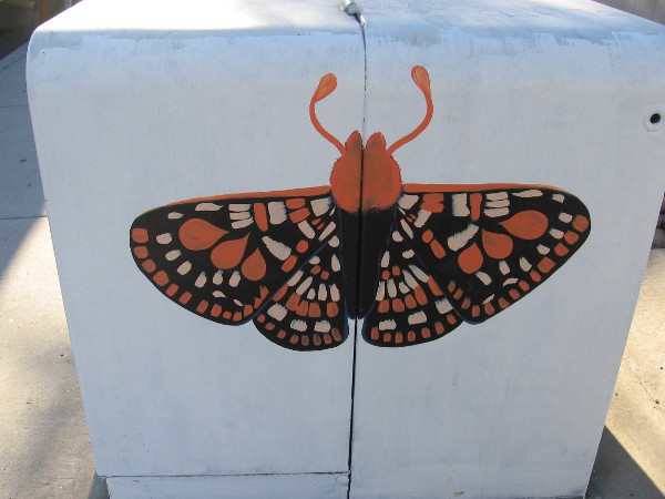 This box appears to be a work in progress. One side has an elaborate moth completed.