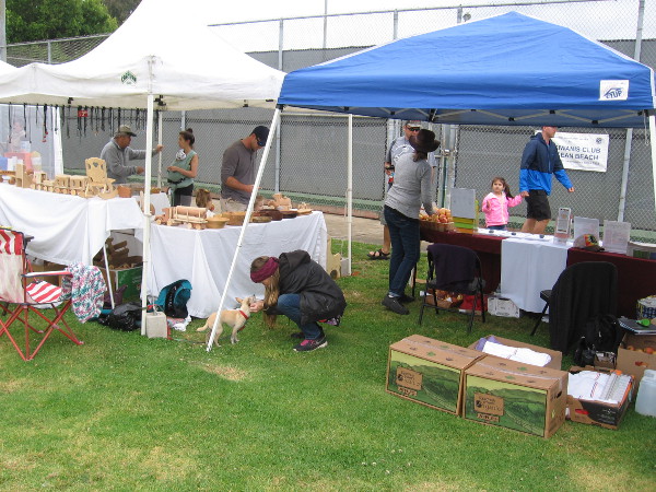 I saw some four-legged friends on the grass.