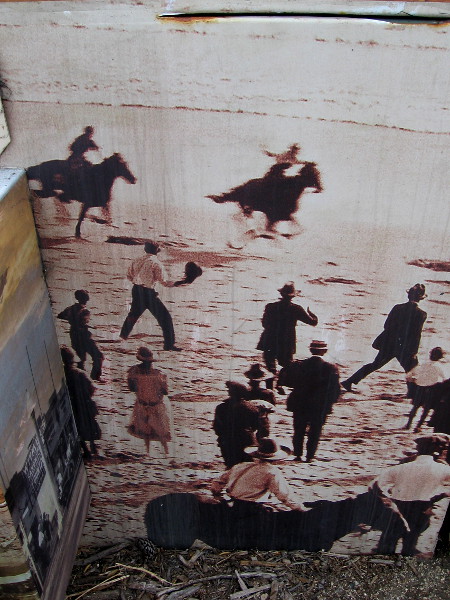 Horses race along the beach as the opening of Fletcher Cove is celebrated.