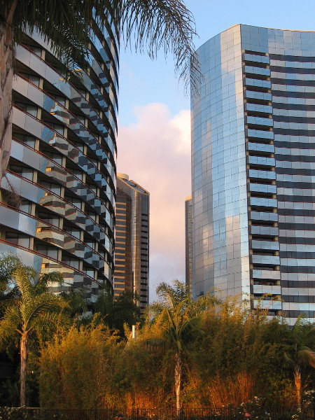 Many downtown buildings reflect light magically.