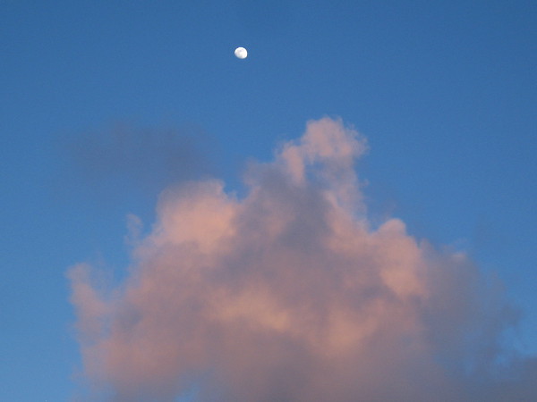 A bright moon above tinted clouds.