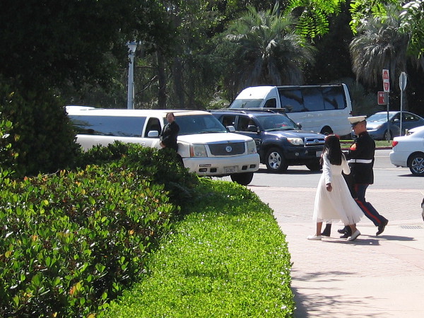 A dapper Marine and his new bride head for a stretch limousine in Balboa Park.