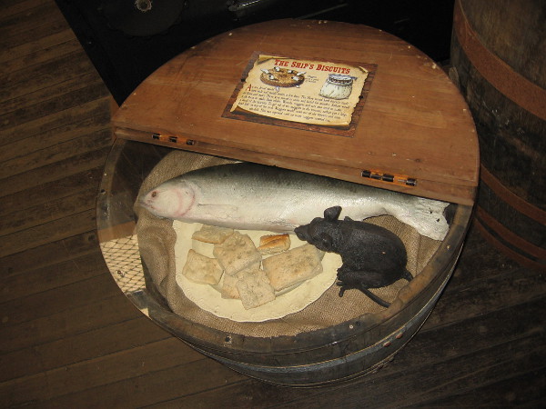 A rat has found its way into the ship's food supply.