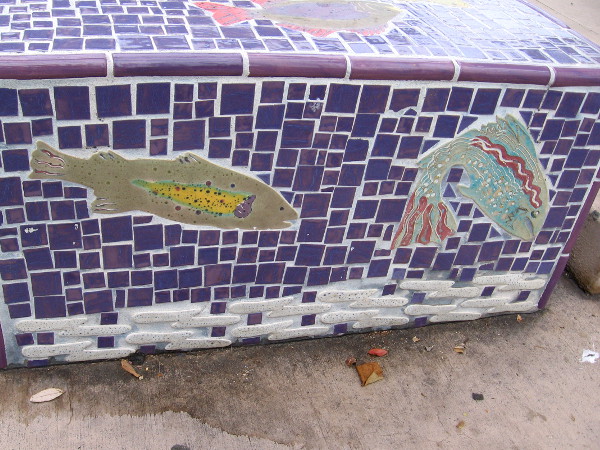 More fish in their watery element.