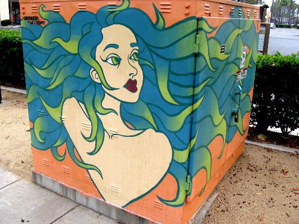 A beautiful face watches motorists from an electrical box. Street art at Rio Vista in Mission Valley.