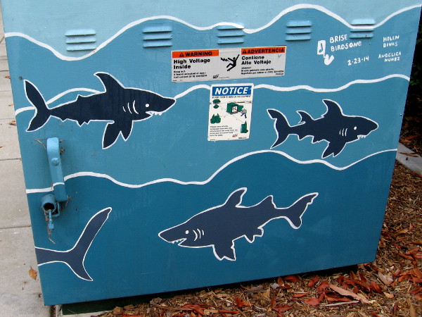 Shark street art, with credits to Brise Birdsong, Helen Divas, Angelica Nunez.