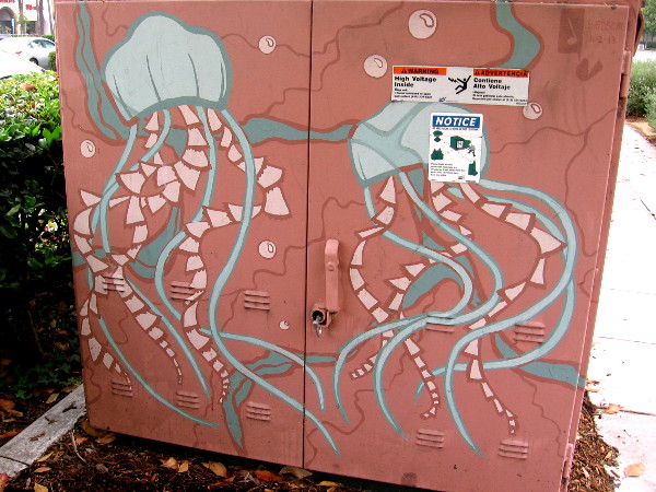 I see some jellyfish, too!