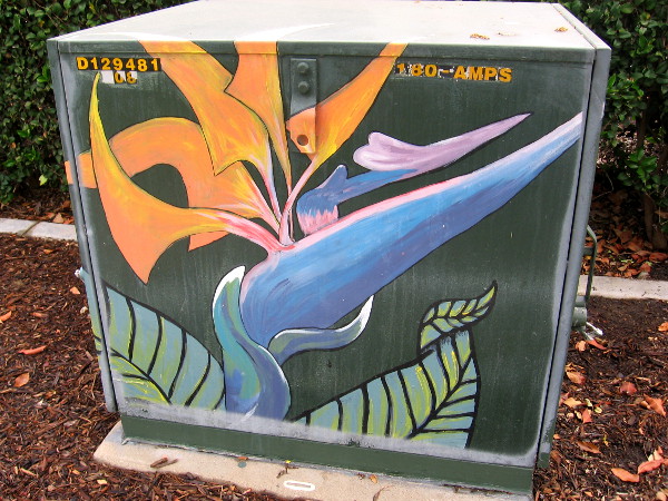 Colorful bird-of-paradise flower street art.