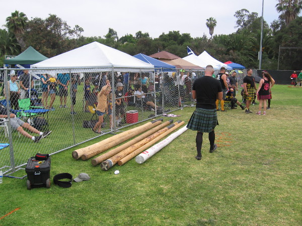 Those big wood poles are called cabers. They're tossed with the objective of flipping them end-over-end, landing as straight as possible.