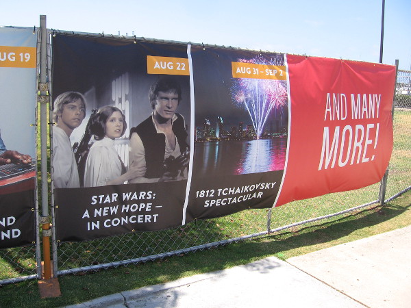 Bayside Summer Nights will feature lots of great concerts, and fireworks.