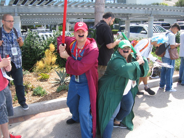 Mario and Luigi prepare for battle.