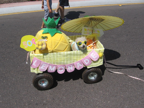 Even this funny pooch in a wagon was selling lemonade!