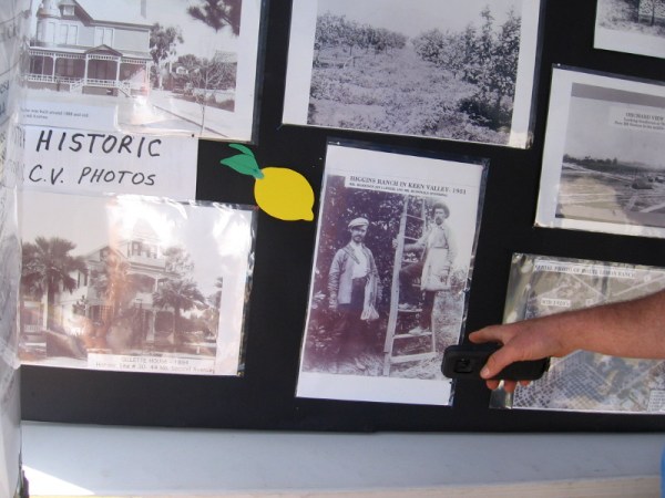 Someone points to a photo of workers in a lemon grove at the Higgins Ranch in Keen Valley, 1901.