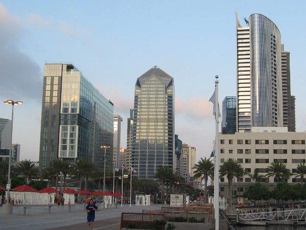 Late sunlight shines from beautiful high-rise buildings in downtown San Diego.