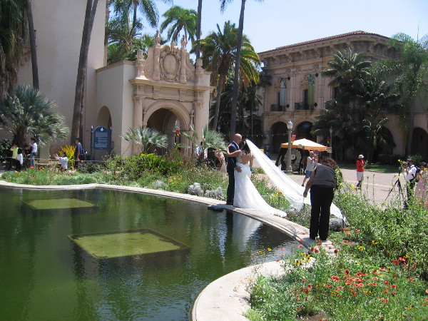 Wedding photos are taken at one end of the beautiful Lily Pond, or reflecting pool.