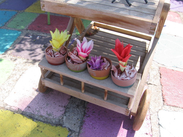 Surprising color fills four pots.