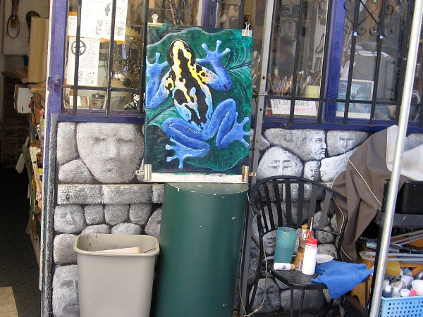 A colorful frog is standing on a leaf outside Studio 10.