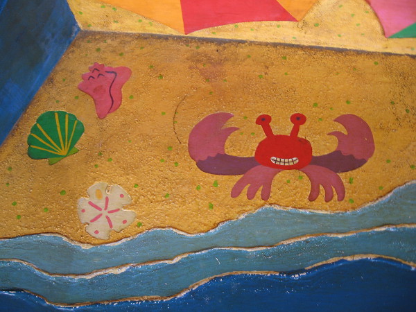 A happy crab, shells and a sand dollar.