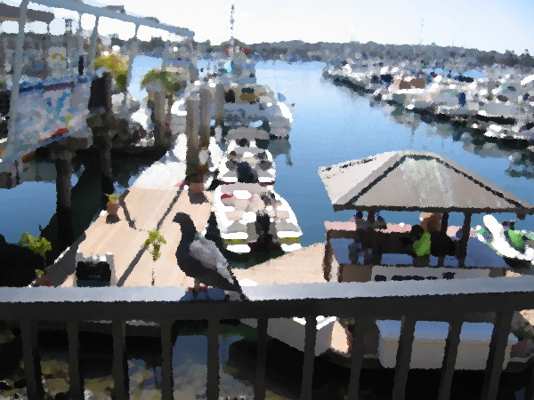 View of the Hyatt Regency Marina near the Mission Bay Sportscenter.
