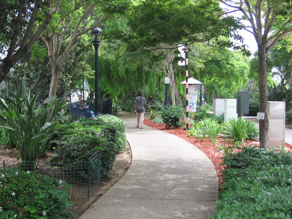 A lush linear park on Cortez Hill, called Tweet Street, has become more and more beautiful with the help of community volunteers!