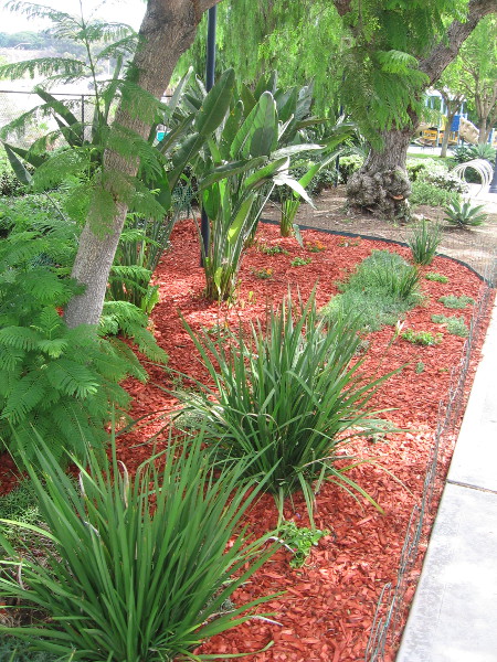 The hard work of the Friends of Tweet Street Park make this neighborhood refuge a more inviting place!
