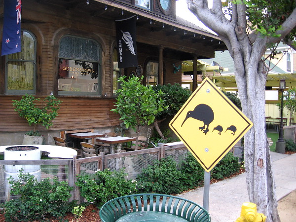 An unexpected Kiwi Crossing street sign in Little Italy.