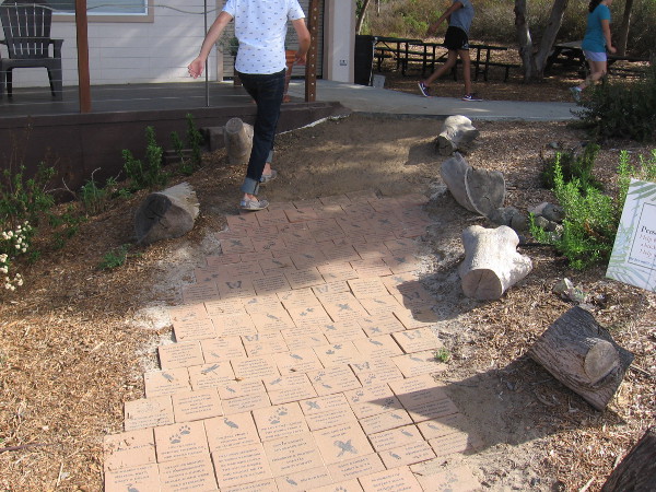 Curious visitors come and go, keeping friendly volunteers at the Nature Center busy.