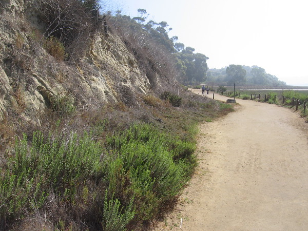 Part of the Lagoon Trail follows tan sandstone cliffs.