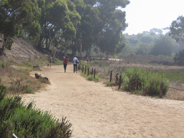 Approaching a more wooded area at the border of the lagoon.