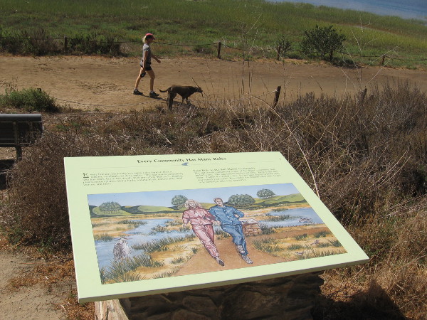 Many informative signs can be found along the trail. This one lists salt marsh niches, including floating plants, diving birds, wading birds, bottom fish, mud worms and more. It also talks about the environment and human responsibility.