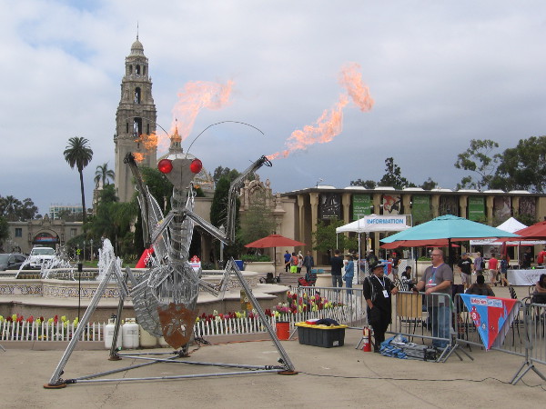 I learned this huge robotic praying mantis that shoots flames from its legs is named Zap!