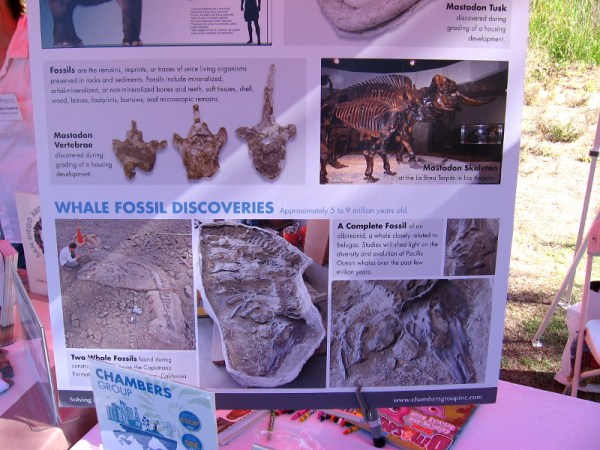 Chambers Group had an interesting poster concerning fossil mastodons and whales.