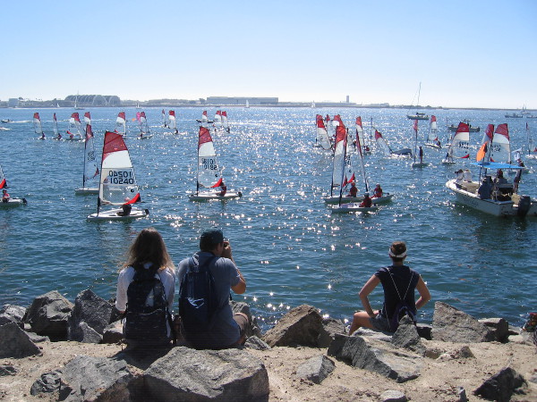Spectators were sitting on the rocks along Harbor Island watching the free Extreme Sailing Series events.