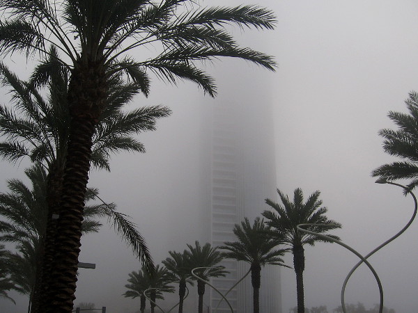 The tall Pacific Gate building rises through the gray fog in downtown San Diego.