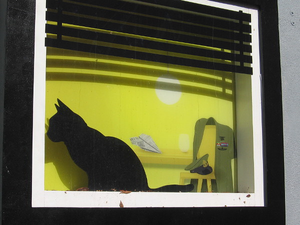 A cat waits in a window near the uniform of a service member.