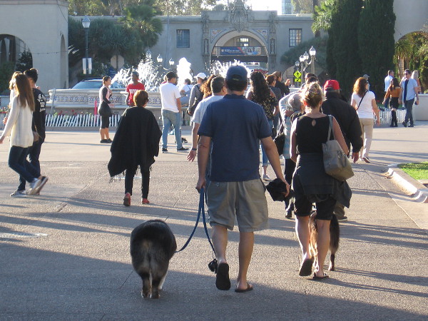 A busy Sunday afternoon in Balboa Park. There is much living to do.
