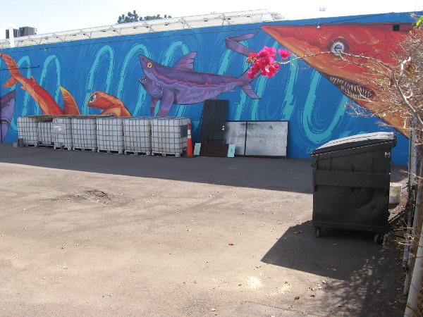 Wall painted by New Zealand artist Cinzah for the PangeaSeed Foundation informs passersby that each year 100,000,000 sharks are killed for their fins.