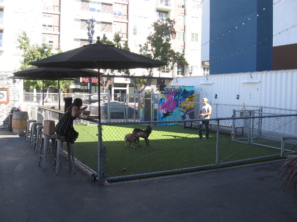 This small area in one corner of the the container park Quartyard is perfect for pet lovers who live in the neighborhood.