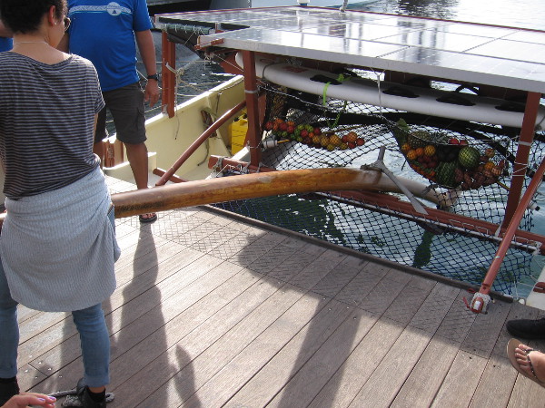 Everyone had to check out the huge oar-like rudder.