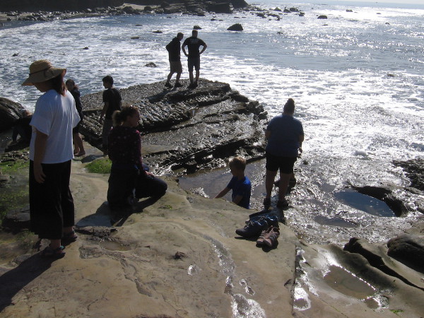 Visitors to Cabrillo National Monument investigate the tidepools.