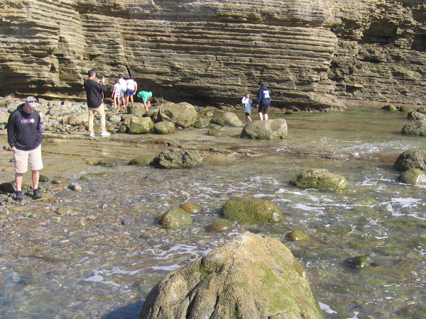As low tide nears, people look about the rocks and shallow water for signs of sea life.