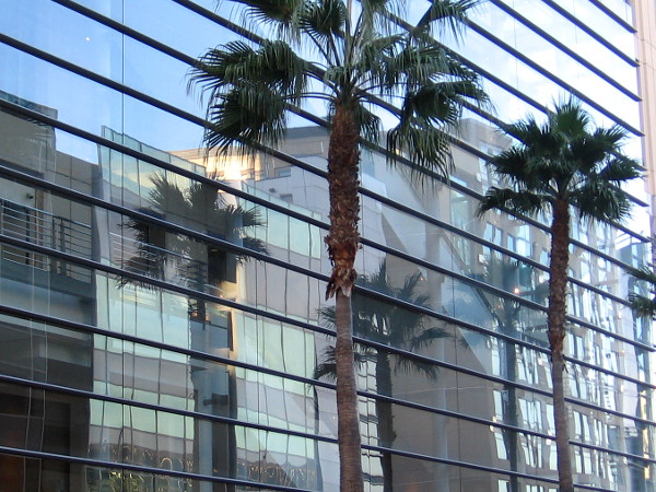 Palm trees reflected in the glassy, very modern Omni San Diego Hotel.