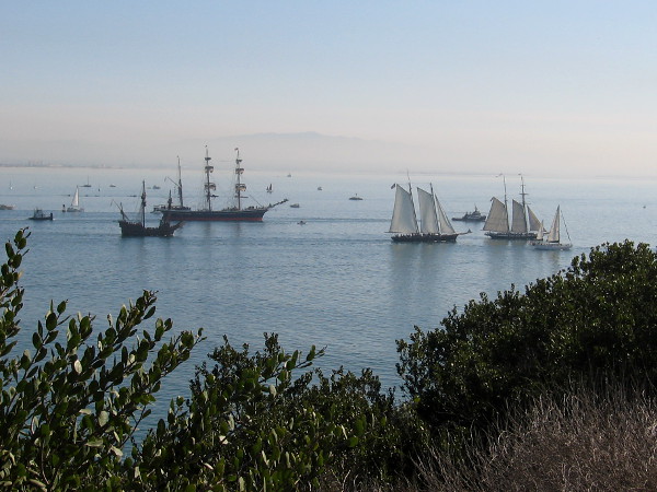 155 year old Star of India and its companion tall ships sail across the water on an historic weekend in November, 2018.