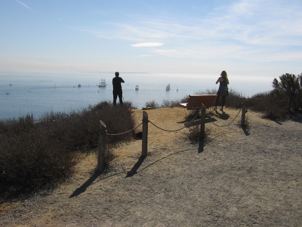 People enjoy the magic near a bench on the Bayside Trail.