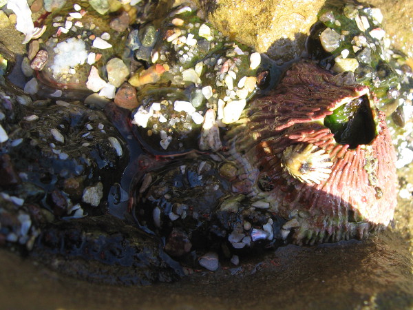 Amazing beauty awaits curious eyes.