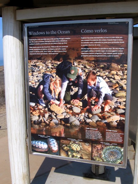 A sign by the path. Exploring the rocky intertidal zones is like peering through a window into the ocean's ecosystem. During low tide, marine animals in shallow pools can be closely observed.
